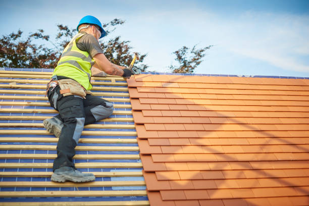 Sheet Metal Roofing in Kalifornsky, AK